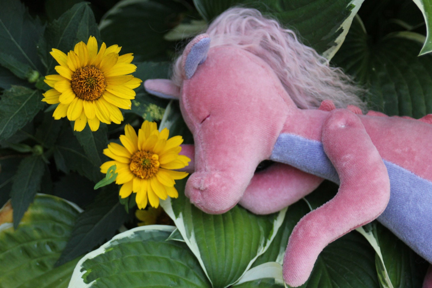 Baby dragon made to order