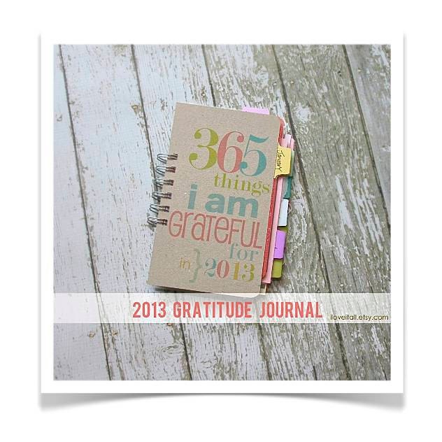 365 Things I Am Grateful For 2013 Gratitude Journal (January-December) . Everyday Daily Document Thankful Blessings Daybook Book Diary - iloveitall