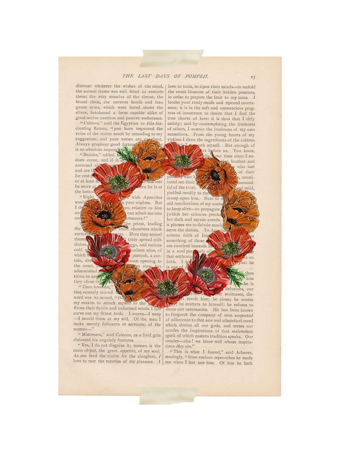 Vintage Poppy Print