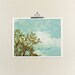 Everything is Alright 16x20 / Nature Photo, LARGE Poster, Dorm Room, Optimism, Optimistic, Inspirational, Shabby Chic, Modern Decor, Spring