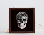 space head light box