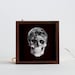 space head light box