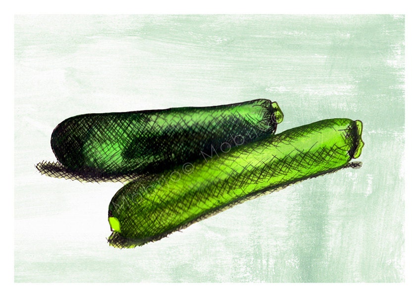 Zucchini illustration postcard-with envelope-print from original ink and watercolor illustration