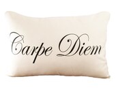 Carpe Diem - Cushion Cover - 12x18