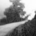 black and white photography, dark, moody, road, fog, 8 x 10 print