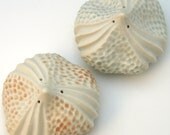 Porcelain urchin salt shaker set in peach & aqua blue and white, medium size