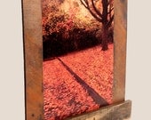 Rustic Photograph "Red Carpet" mounted on Wood with Tree Branch and Trim