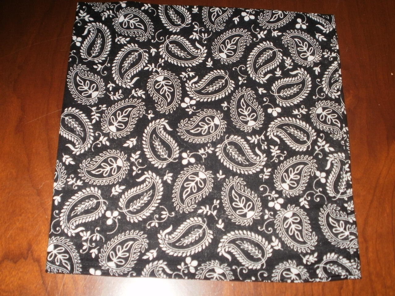 4 Black and White Paisley Dinner Napkins...17 inches...Stitched Hems NOT Serged...FREE SHIPPING