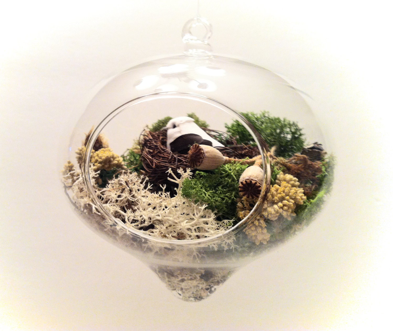 Bird With Nest Terrarium- No Care