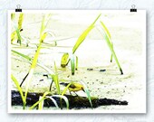 Prothonotary warbler photo, Louisiana photography, bird photography, warbler, swamp decor, bathroom decor, yellow, lemon chiffon color
