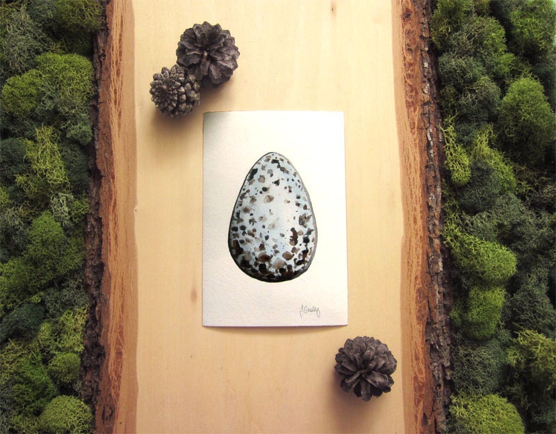 Blue Bird Egg Painting - Original Watercolor - Magpie-Robin - 4x6