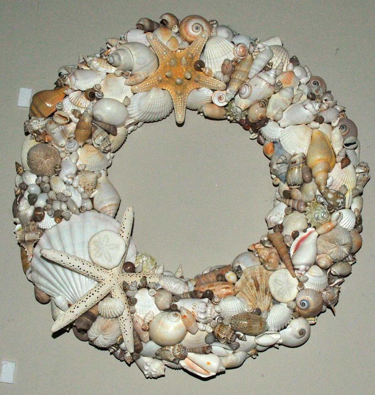 White Sea Shells Wreath
