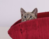 Cat Canoe in Wood Grain a Unique Modern Hand Made Kitty Bed