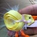 Farm Animals Chicken, Horse, Pig ribbon sculpture hair clip
