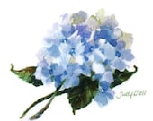 Blue Hydrangea Watercolor Painting Original