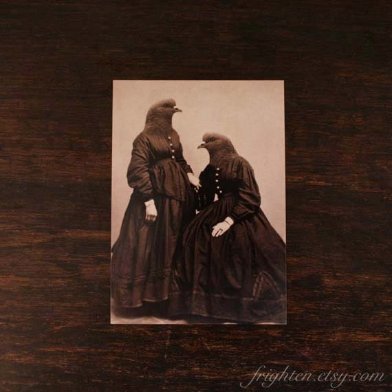 5x7 Bird Art Print, Mixed Media Collage Print, The Pigeon Sisters, Altered Antique Portrait
