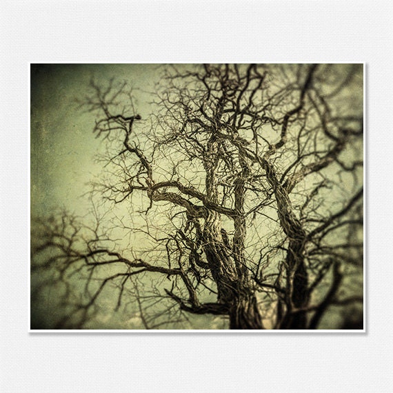 Spooky Halloween Decor Gothic Nature Print Olive Tree Rustic Autumn Woodland Moody Mysterious Green Black Creepy Scary Tree.