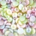 36pcs - Pastel Light Colored Mixed Flatback Pearls Decoden (8mm) PM30008 (((LAST)))