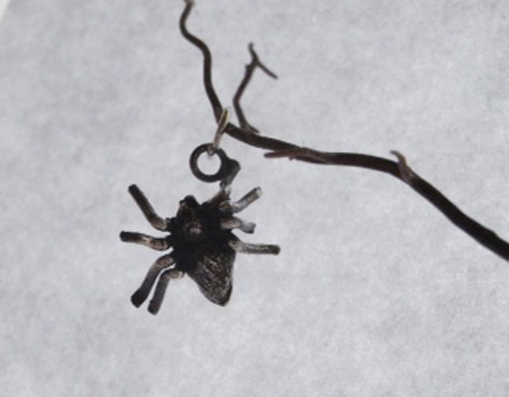 Anansi Spider charm, Sterling silver spider
