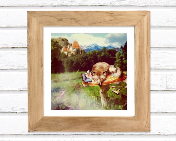 Dreams - Luster Photo Print 5x5 - Fox Mushroom Photo Art Manipulation