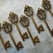 Sinclair Antique Bronze Skeleton Key  - Set of 10