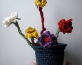 PDF CROCHET PATTERN The Flower Pot Series 02 Portulaca Amigurumi