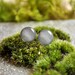 Earl Grey Dots Stud Earrings - Minimalist - Hypoallergenic Surgical Stainless Steel Posts