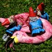 Zombie Gnomes: Bye Bye Birdie  FREE SHIPPING