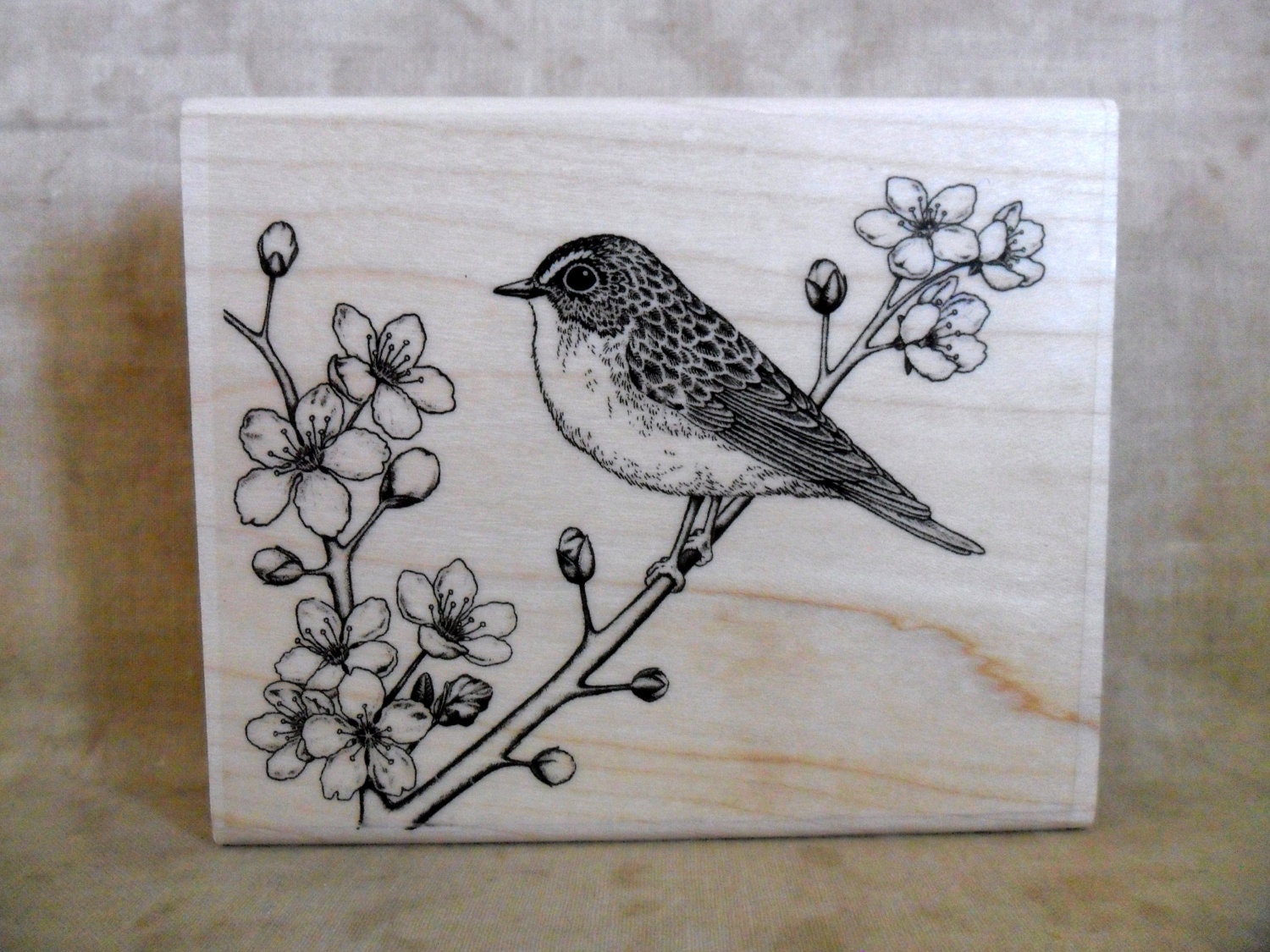 Cherry Blossom Bird Rubber Stamp by Stampabilities-SALE