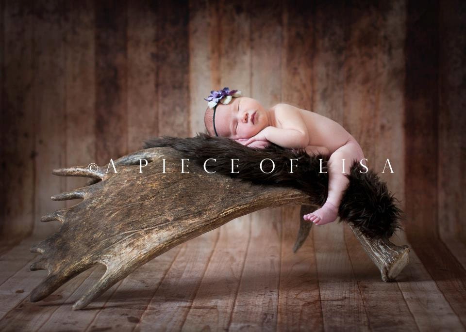 CHEAPEST on Etsy 5ft x 6ft Vinyl Photography Backdrop / Scuffed Wood / LARGE PRINT