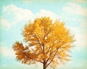 Large Photography - autumn tree fall leaves - yellow gold orange - blue mint teal - large wall art - golden foliage sky - 16x20 Photograph