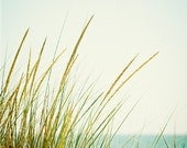 Beach Grass Photography - calming beach prints light green blue cream white aqua seashore neutral coastal wall art fine art - 8x8 Photograph