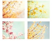 Flower Photography Set, Four 11x14, 8x10 Photographs, spring pastel pale photo mint floral yellow pink green print nature wall art botanical - CarolynCochrane Flower Photography Set, Four 11x14, 8x10 Photographs, spring pastel pale photo mint floral yellow pink green print nature wall art botanical - CarolynCochrane