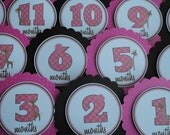 NEW - Pink Giraffe First Year Tags