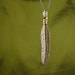 Feather Necklace Bronze Feather Pendant on 32" Gunmetal Chain