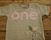 Girls Birthday Tee Vintage pink chenille and detailed pinwheel design Organic Shirt Blend first birthday second etc