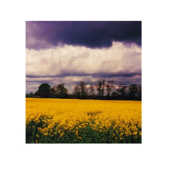 modern art clouds, before the storm, art print, weather, nature, art block, yellow, purple, dynamic , minimalist vision