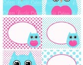 Owl Cute Hot Pink Blue  Baby Shower Birthday  Digital Collage Large  LaBeLs  BLANK PRINTABLE u PrinT