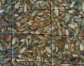 Hot Pepitas Brittle (Pumpkin Seeds with Red Pepper Flakes)