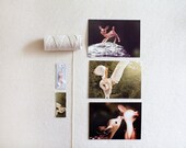 Woodland Creature Postcard Set / 3 piece 4x6 framable set / deer fawn owl woodland nature cute animal bird minimal modern