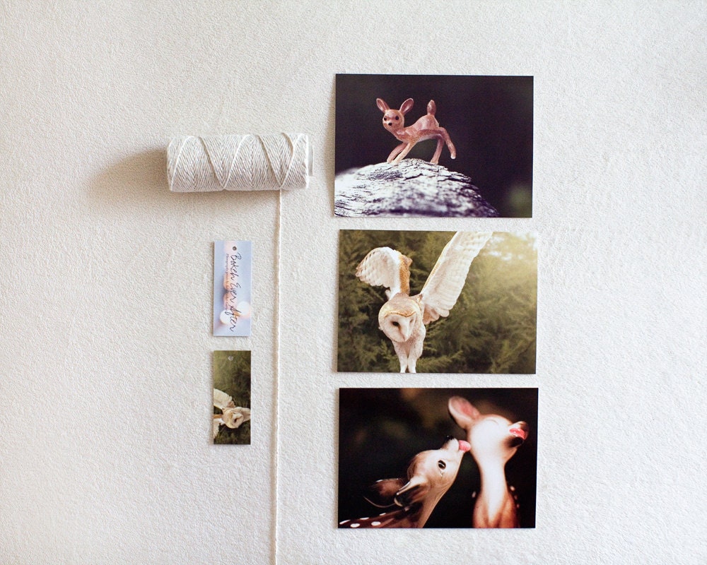 Woodland Creature Postcard Set / 3 piece 4x6 framable set / deer fawn owl woodland nature cute animal bird minimal modern