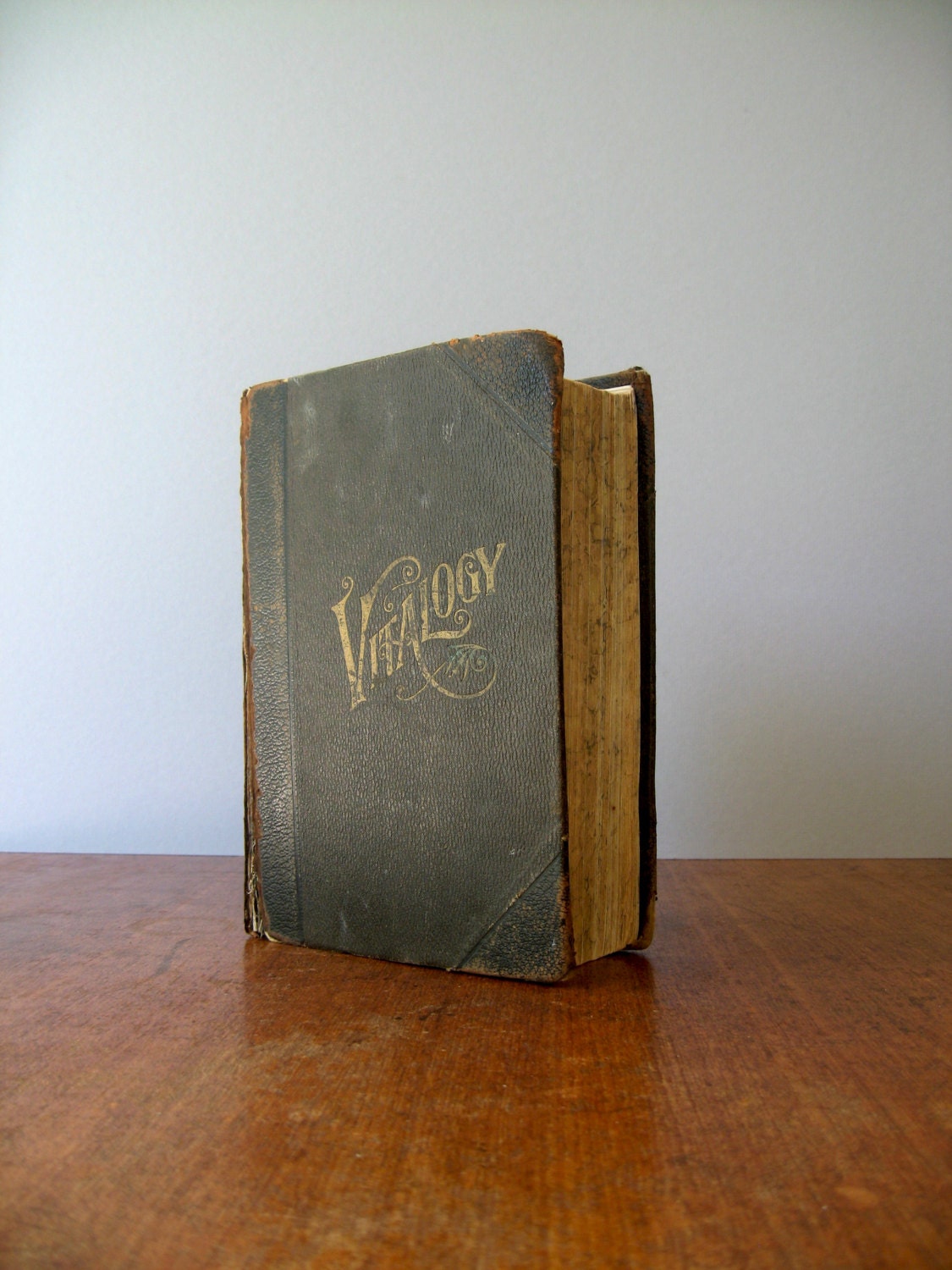 Antique Book - Vitalogy 1919 Edition