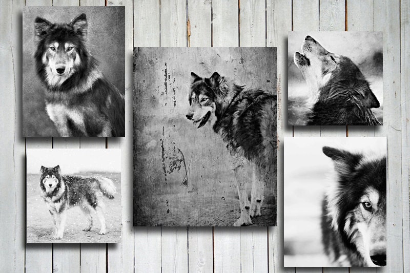 Wolf collage - collage canvas photography - wolf dog - wolf decor - wolf art - collage art - wolf dog art