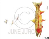 Watercolor Trout with Fishing Flies Greeting Card - Painting by June Jurcak