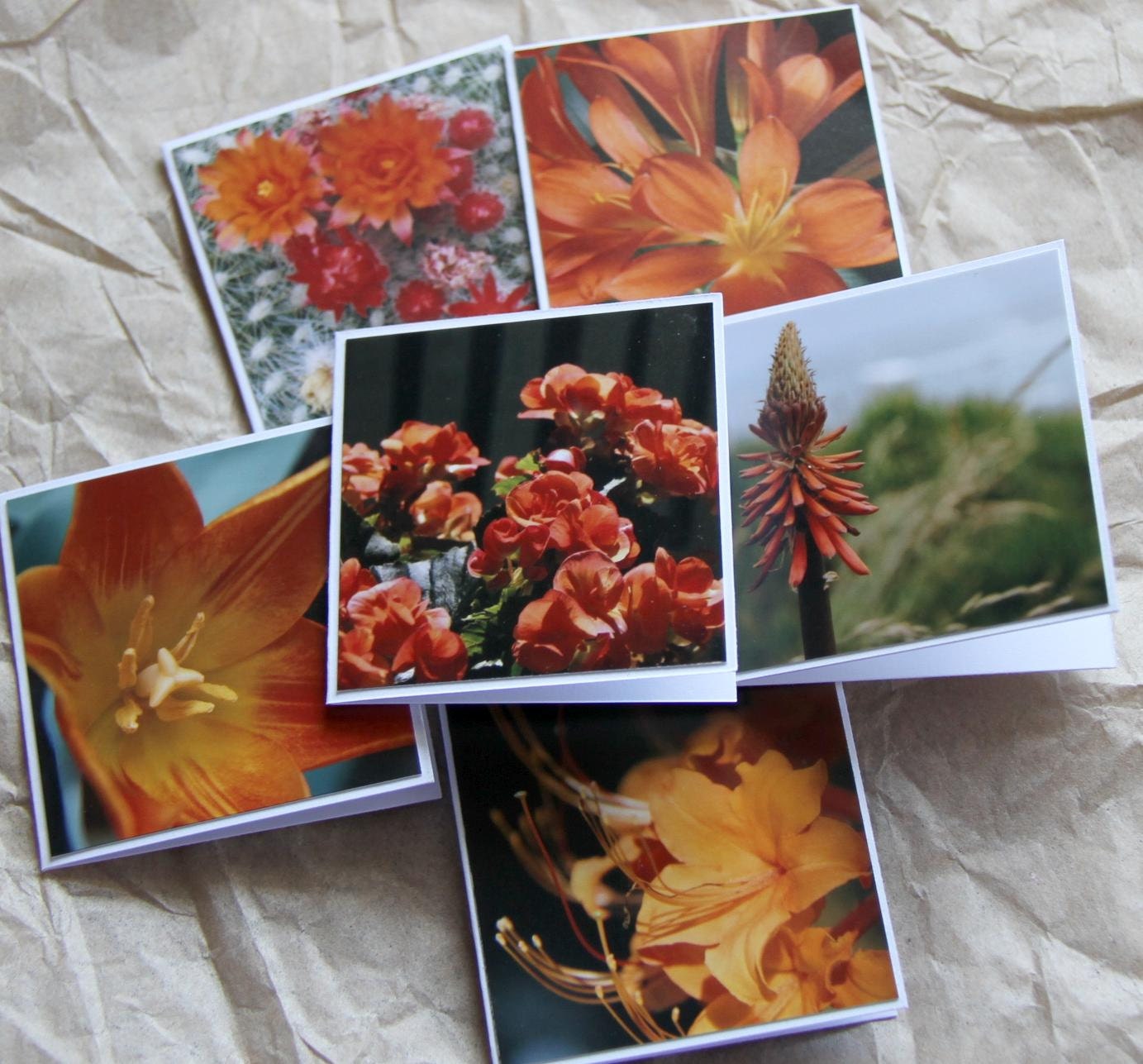 Orange flowers photo Cards (6 mini cards)