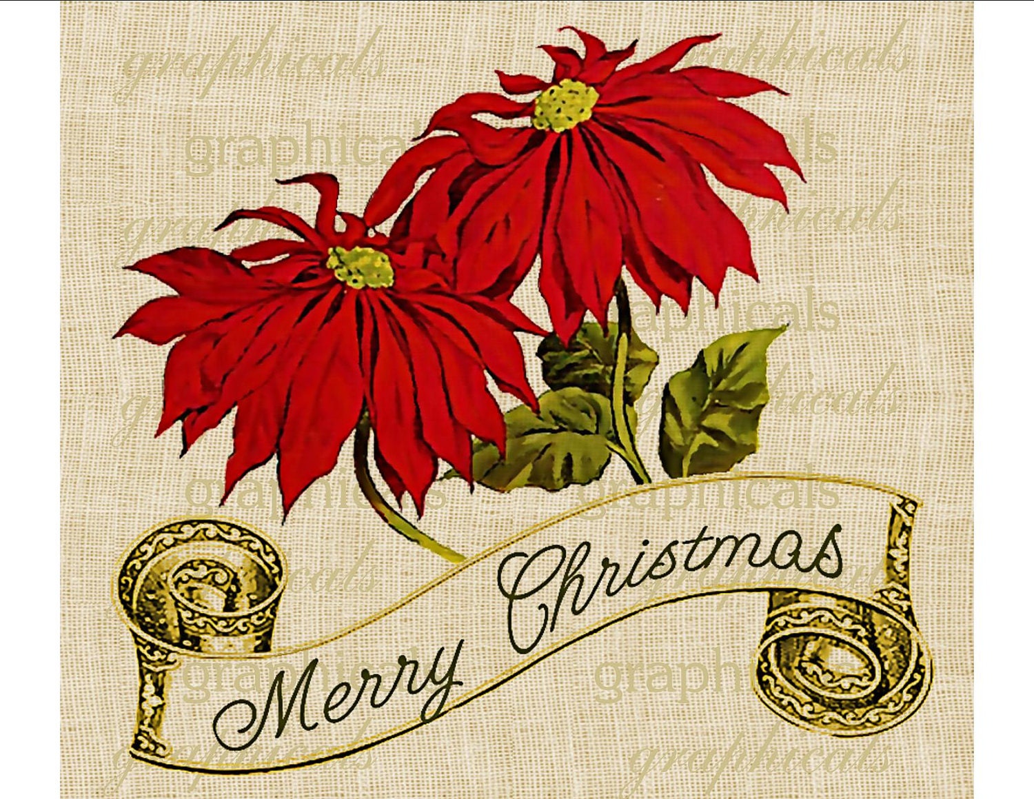 Poinsettias Merry Christmas Digital download graphic image for iron on fabric transfer burlap decoupage pillows tote bags No. 1774
