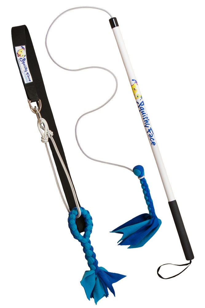 Flirt Pole & Super Tug Bundle - Active Dog Toys