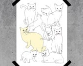 Suncat - A4 Print - Cat illustration