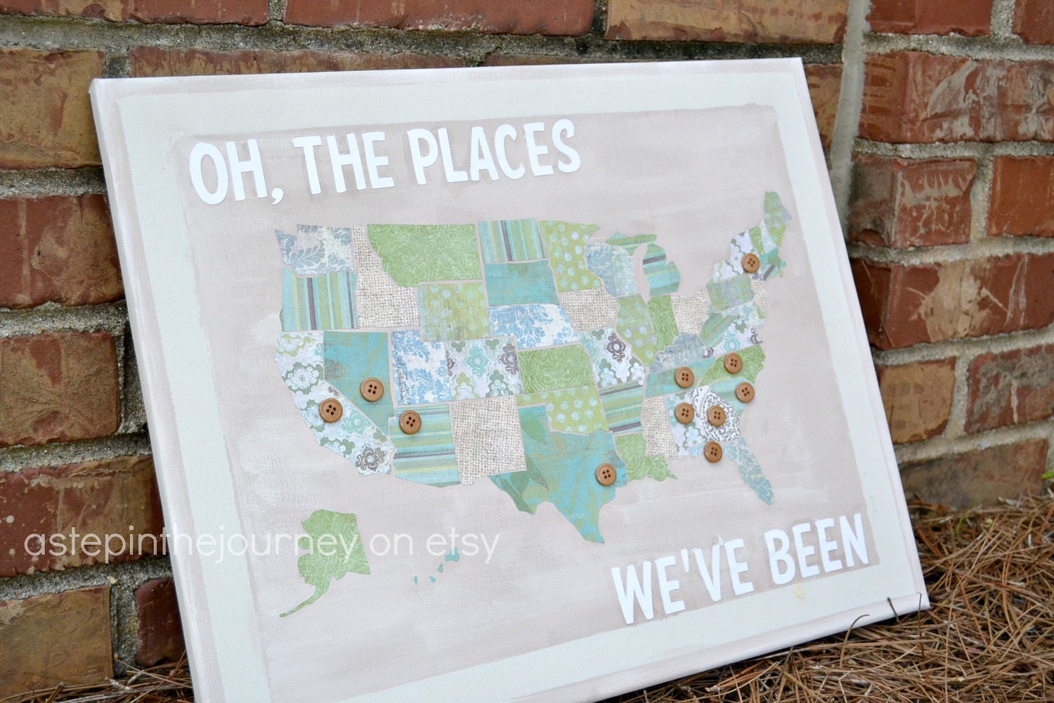 Oh the Places We've Been (We'll Go) - US Travel Map
