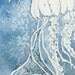 Jellyfish print, Blue Jellyfish, Deep Water Artwork, Ocean Wall Art, Dark Water Jellyfish, Seaside Art, 4 x 4